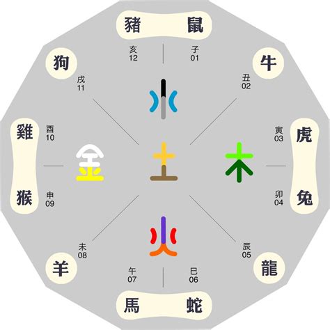 生肖 屬性|十二生肖五行屬性對照表 